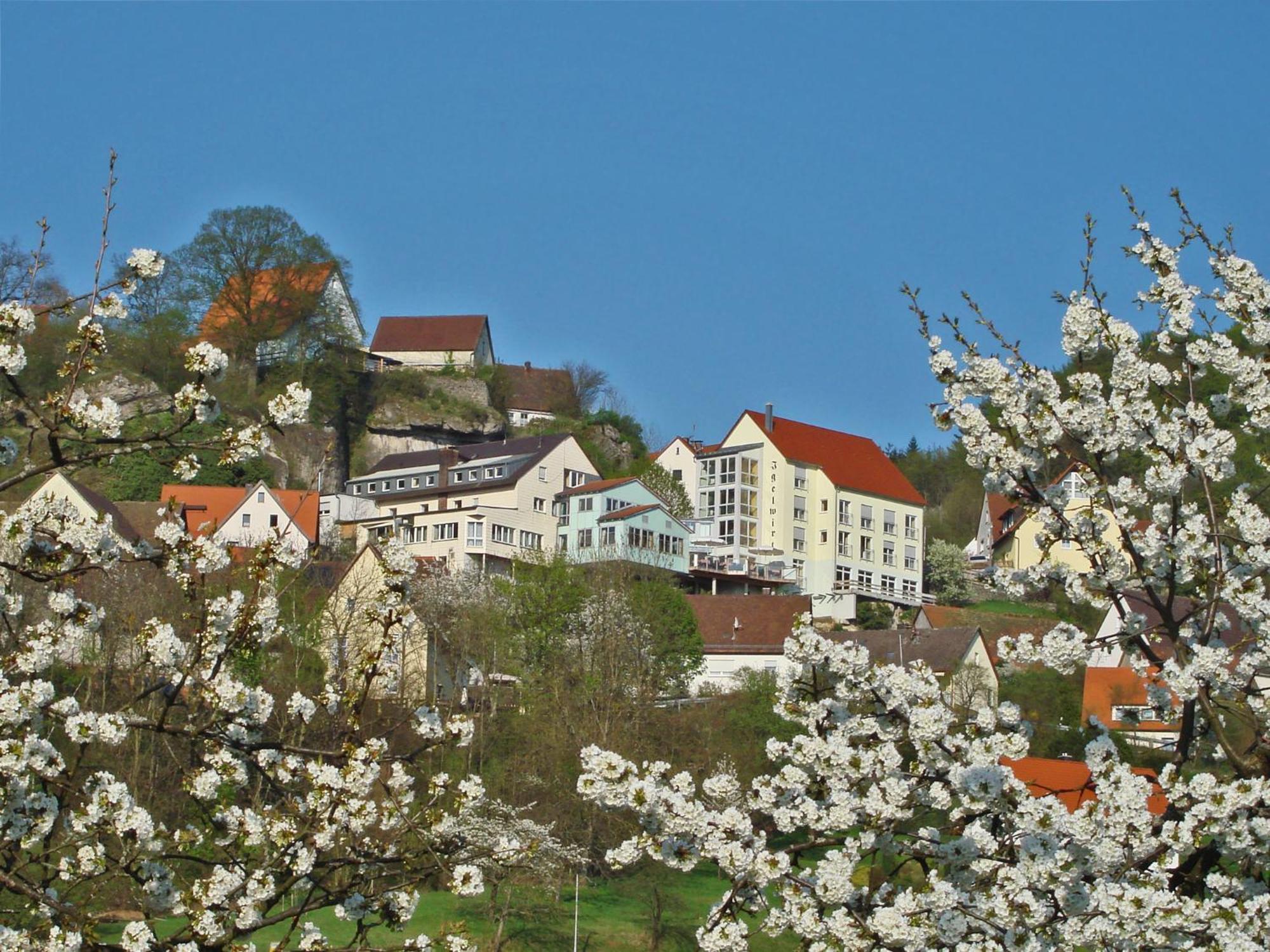 Berggasthof Hotel Igelwirt Шнайттах Экстерьер фото